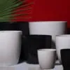 467590089 122100838322623709 3827353459760821032 n