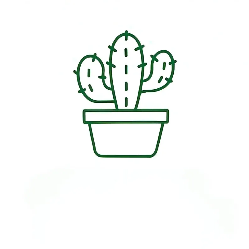 Cacti and succulents