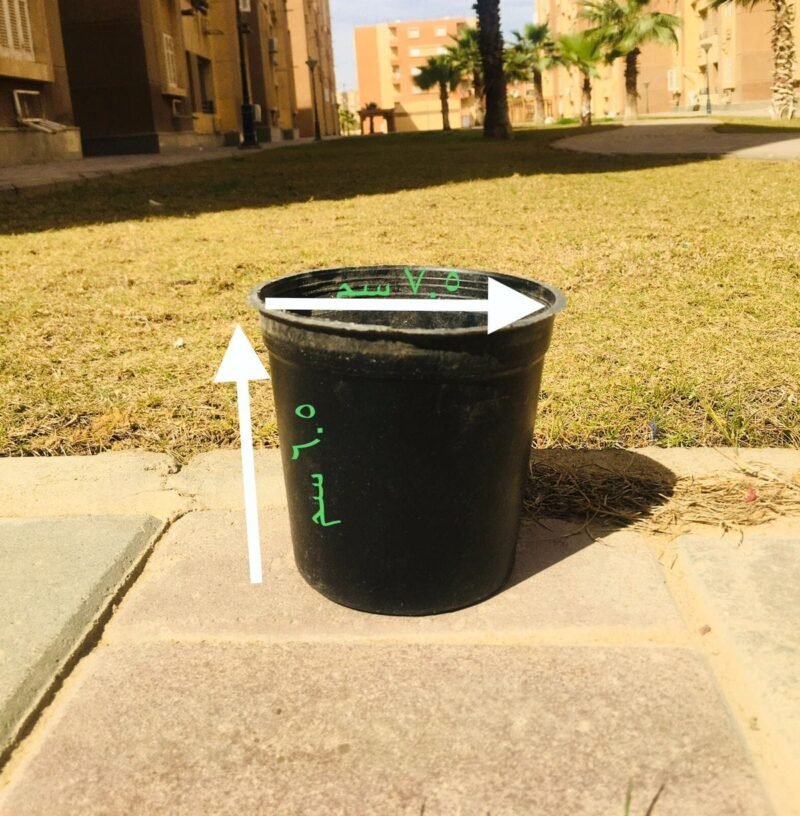 Black Pot – 8 cm