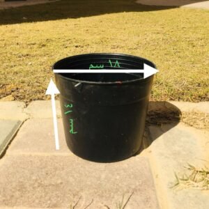 Black Pot – 20cm