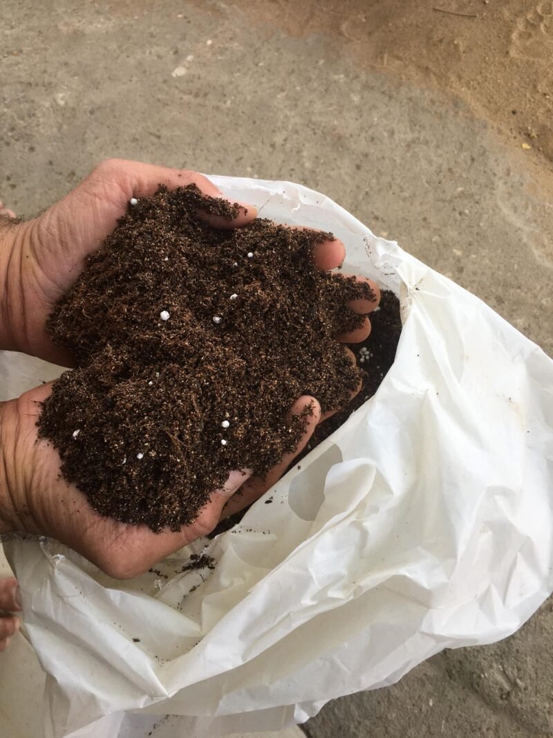 5 bags of peat moss + 1 free bag - Image 2