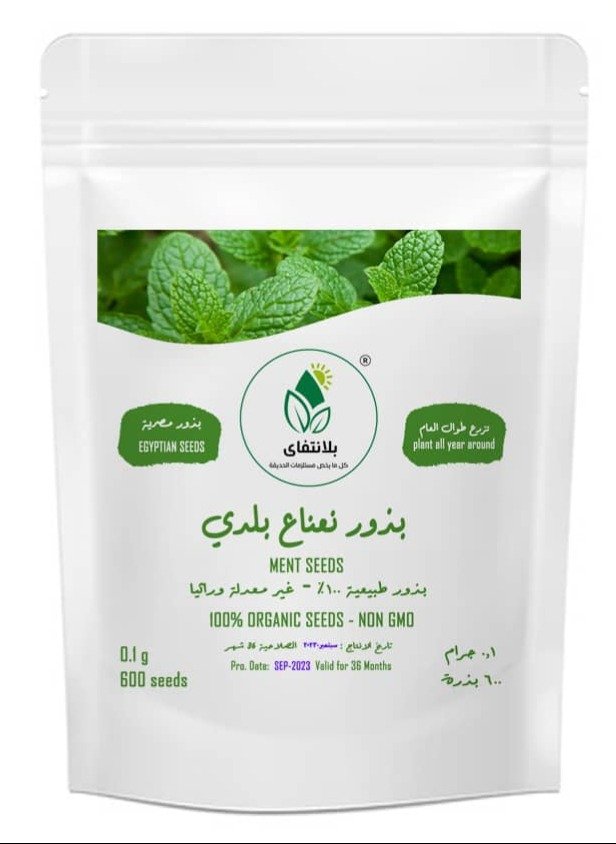 Baladi Mint Seeds
