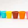 10cm Cactus Cup