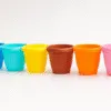10cm Cactus Cup
