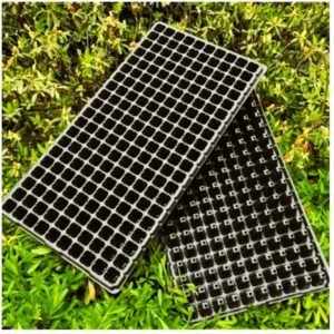 200 cell plastic seedling 2tray