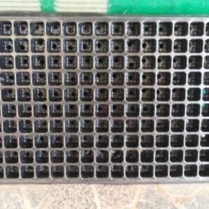 200 cell plastic seedling tray