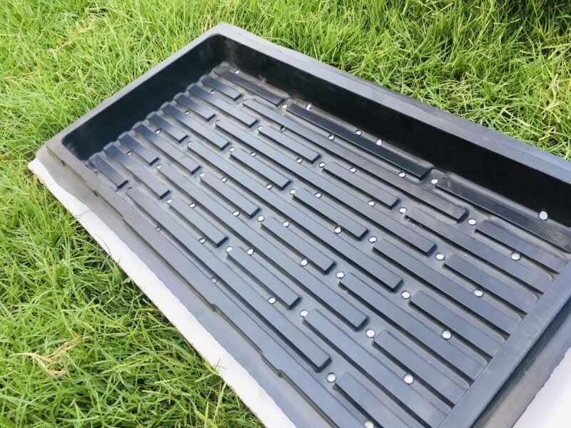 Barley Growing Tray
