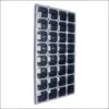 32-Cell Seedling Tray