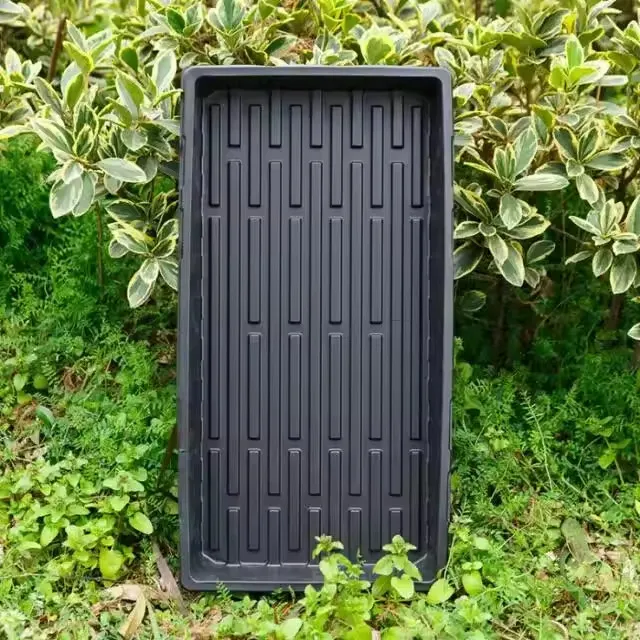 ⁦Barley Growing Tray⁩ - الصورة ⁦4⁩
