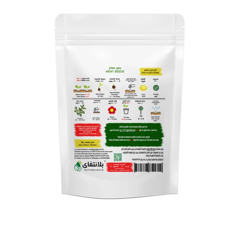 ⁦Baladi Mint Seeds⁩ - الصورة ⁦2⁩