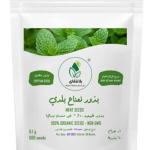 Baladi Mint Seeds