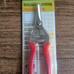 Stainless Steel Pruning Shears – For Grapes & Citrus