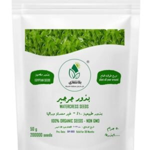 Arugula Seeds – 50g