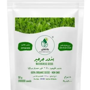 Arugula Seeds – 50g