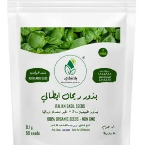 Italian Basil Seeds – 50 Seeds