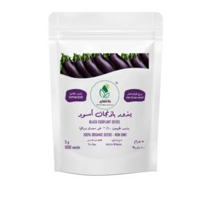 Black Eggplant Seeds – 5g