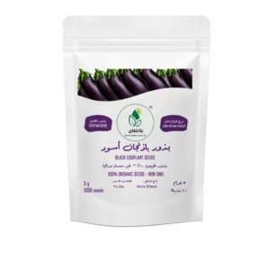 Black Eggplant Seeds – 5g