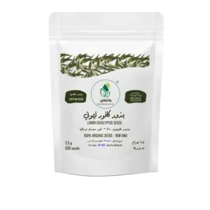 Lemon Eucalyptus (Corymbia citriodora) Seeds – 2.5g