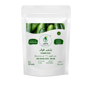 Cucumber Seeds – 10g (Approx. 250 Seeds)