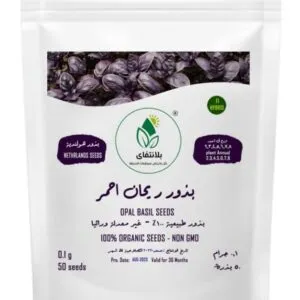 Red Basil Seeds – 50 Seeds