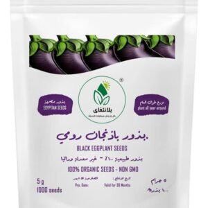 Roman Eggplant Seeds – 5g