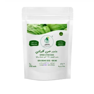 Iceberg Lettuce Seeds 5g